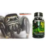 Cloma Phar Black Spider 25 Fat Burner - 100 VEG Capsules - Image 3