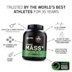 OPTIMUM NUTRITION (ON) Serious Mass High Protein High Calorie Weight Gainer Powder - 3 kg (Chocolate) with Vitamins and Minerals, Vegetarian - Image 6